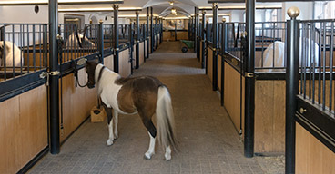 Pferdebetriebe nutzen Opti-Ration