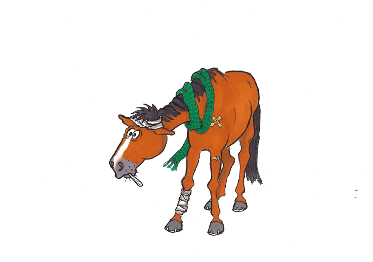 krankes Pferd