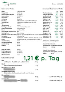 Kosten senken beim Pferdefutter