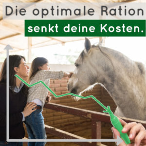 Kosten senken in der Pferdehaltung